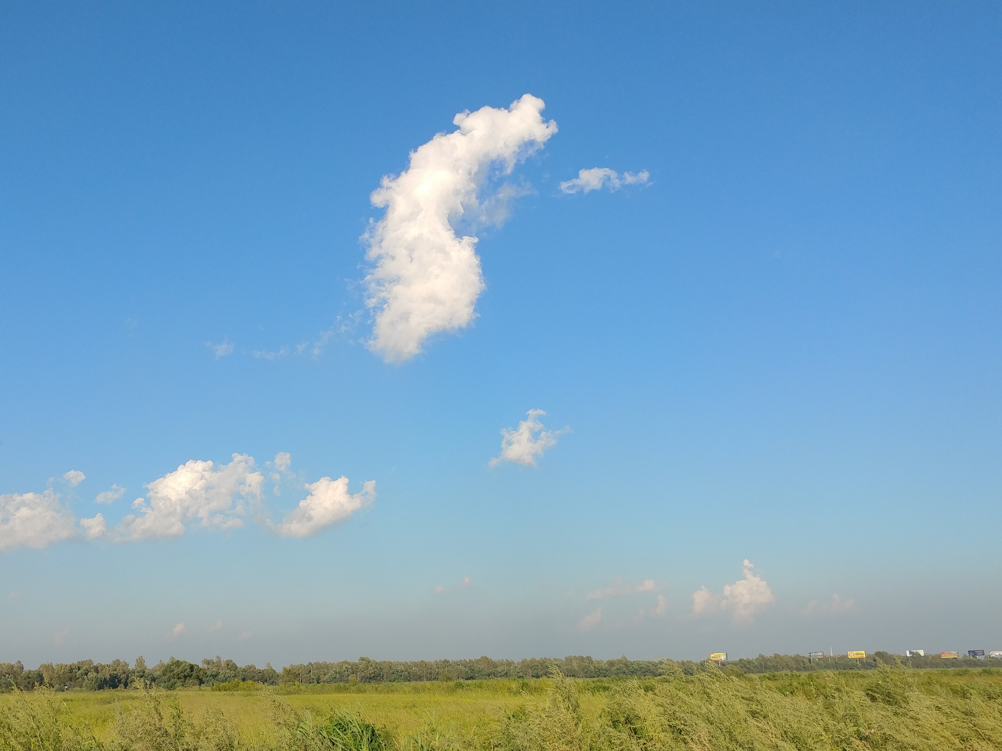 20170821_170929 (2).jpg